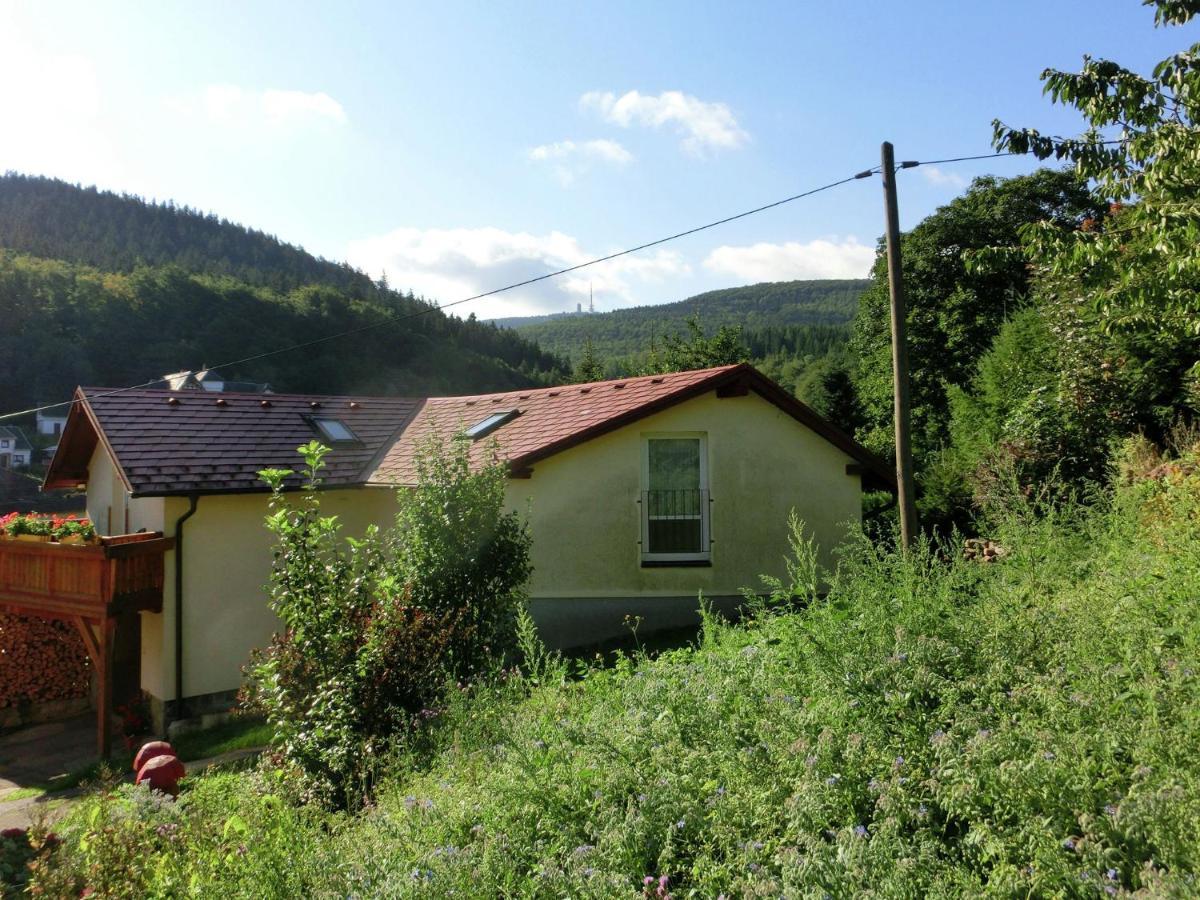 Cottage Near A Ski Resort Winterstein Buitenkant foto